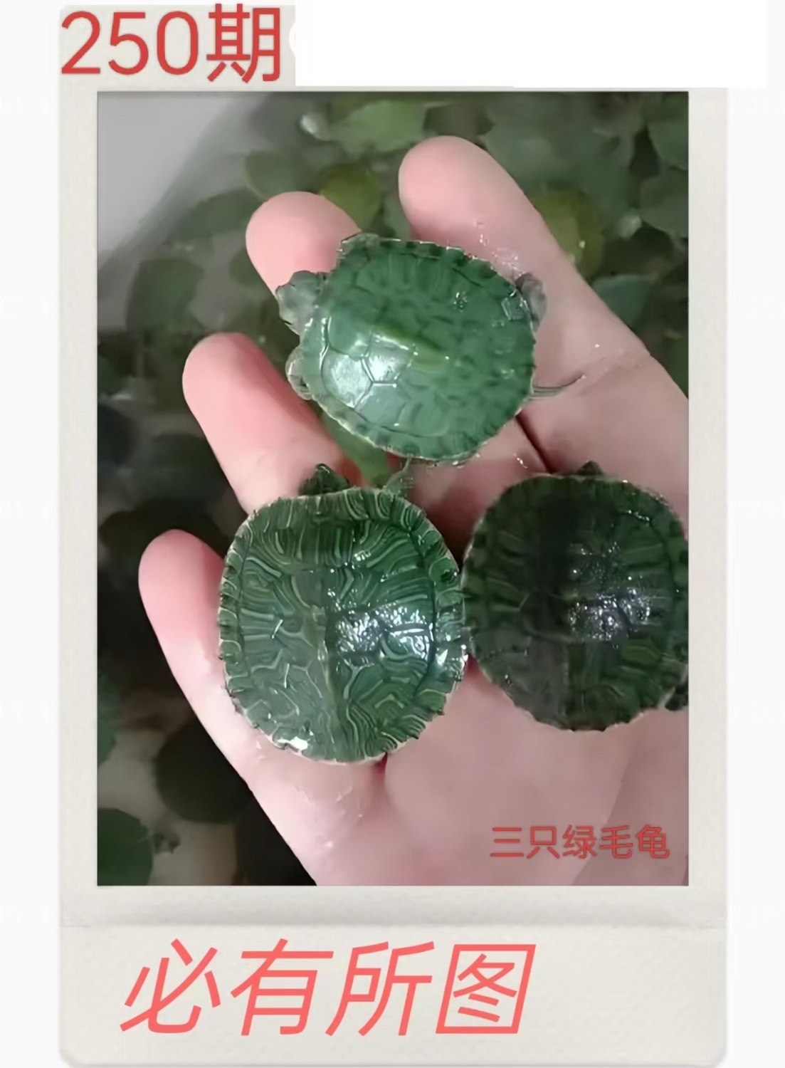 eraser_20250907H122445778.png